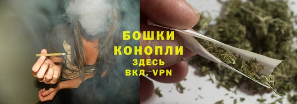 PSILOCYBIN Балахна