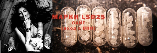 PSILOCYBIN Балахна