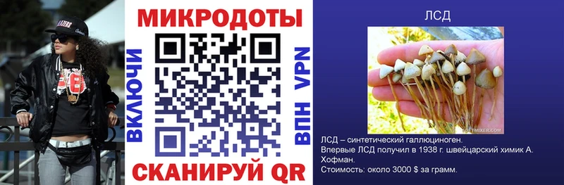 Псилоцибиновые грибы Psilocybine cubensis  наркота  Нижнекамск 